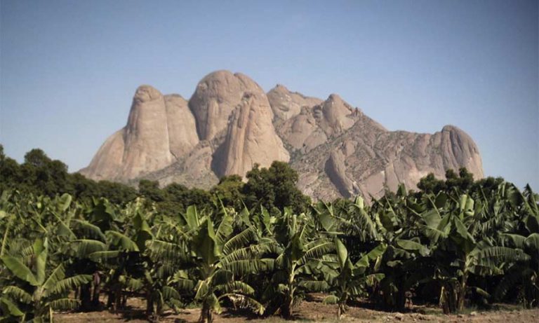 Accueil Ambassade du Soudan en France